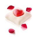 Set 1 Molde Corazón + 7 Cojines 100X100X30 mm. 270 ml.