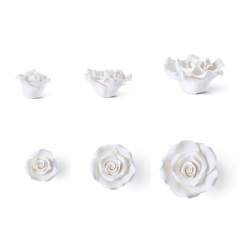 Rosa Blanca Stdas Ø 40/50/60 mm. (18 u.)