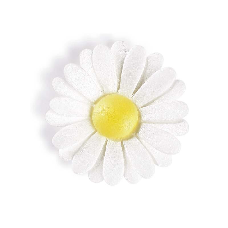 Margarita Blanca Oblea Ø 50 mm.  (100 u.)