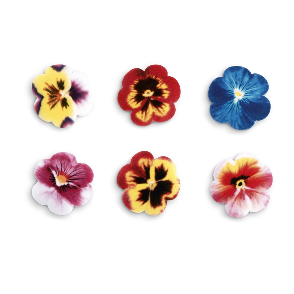 Surtido de Petunias Azúcar (100 u.)