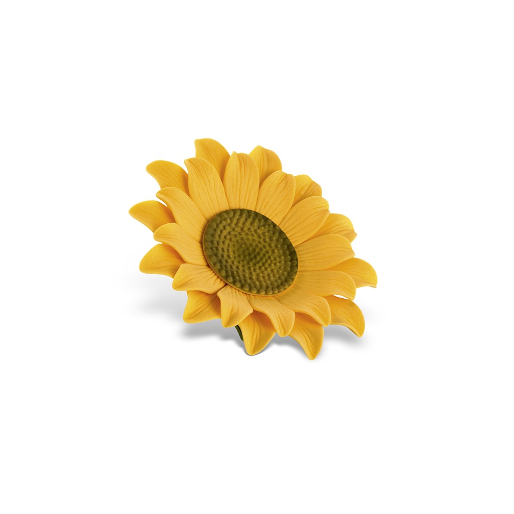 Girasol Grande de Azúcar (18 u.)