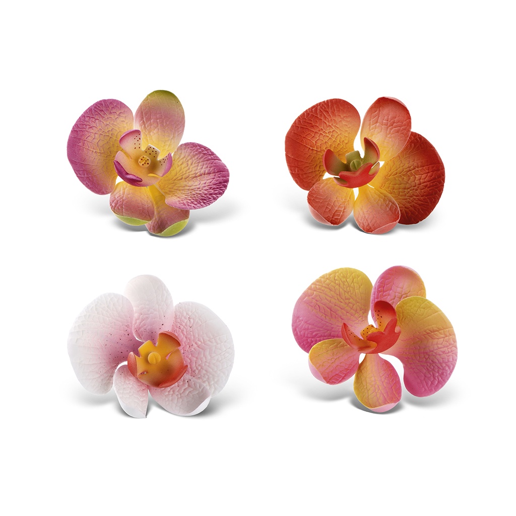 Bouquet of orchids (12 u.)