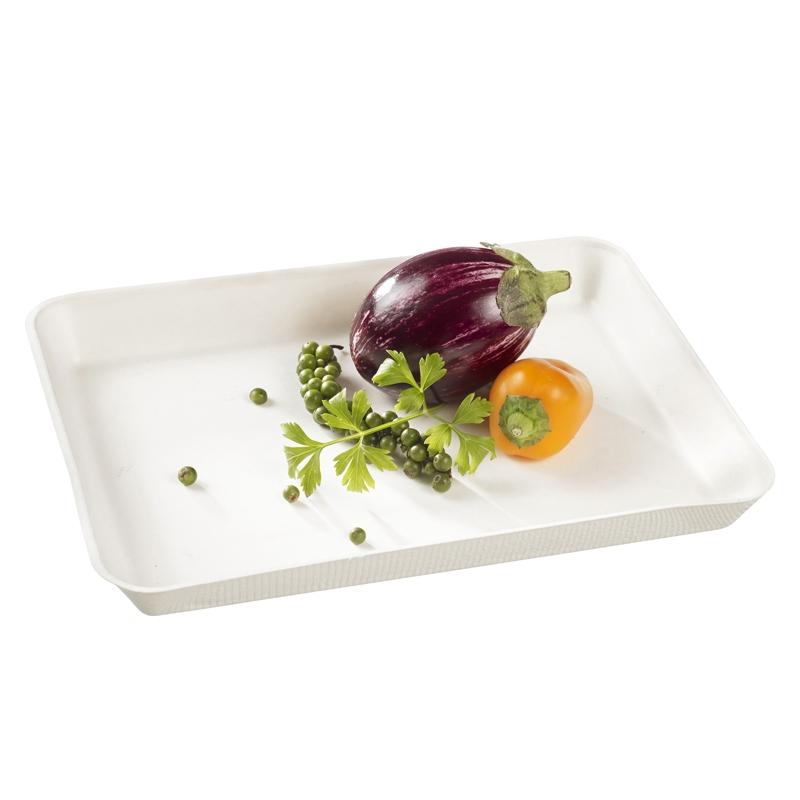 Plato Kanopee Blanco de Pulpa 200X150X20 mm. (200 u.)